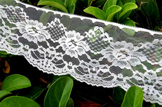 Lacy Mesh Off White Scalloped Floral Lace