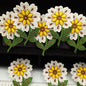 FLORAL VINTAGE appliques yellow brown off white flower Patches #173