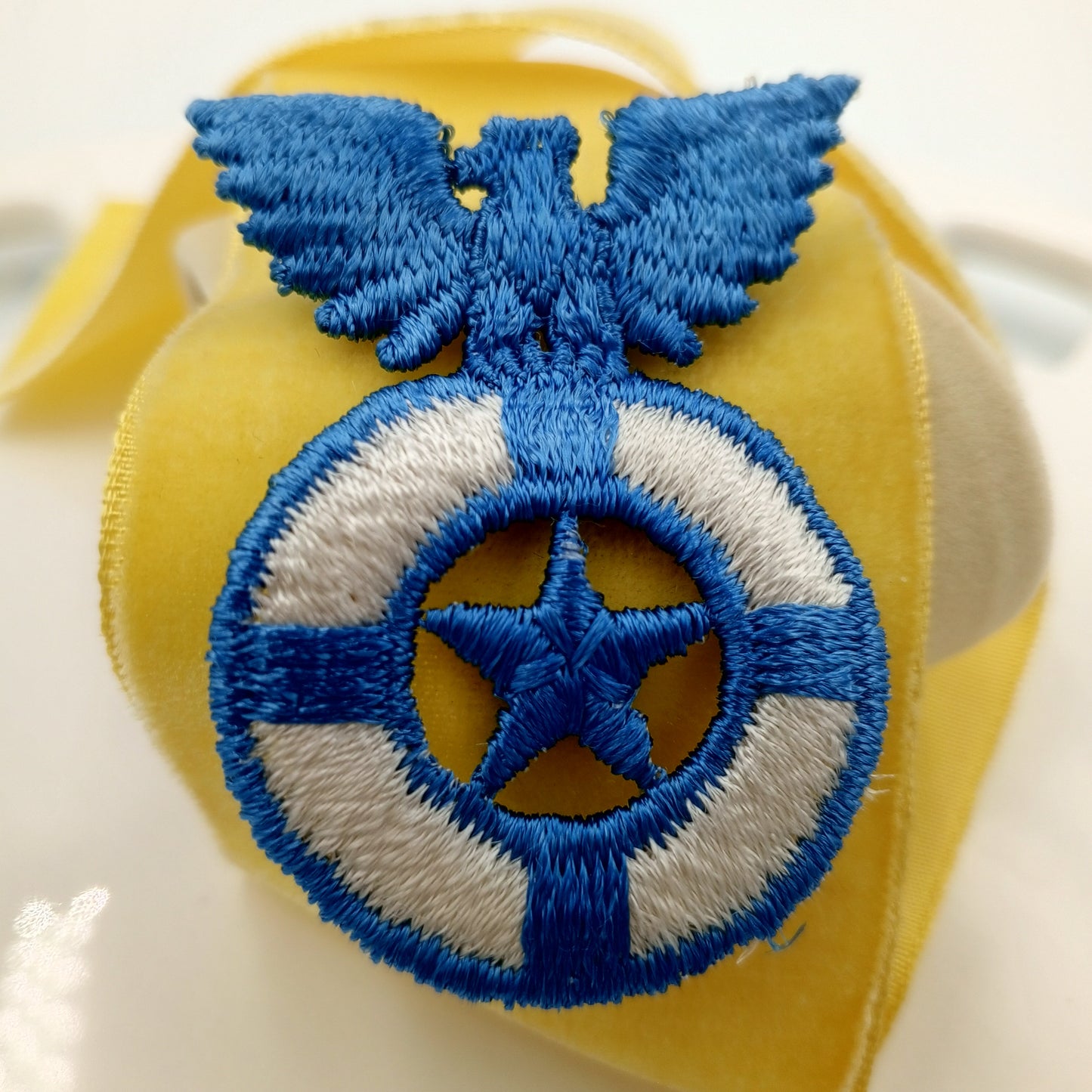 Classic Blue Eagle Vintage White Embroidered Applique Liberty Emblem Lifesaver Star Heraldic Uniform Patches Sewing Embellishments