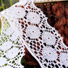 Beautiful Classic Cluny White Lace Trim 2??
