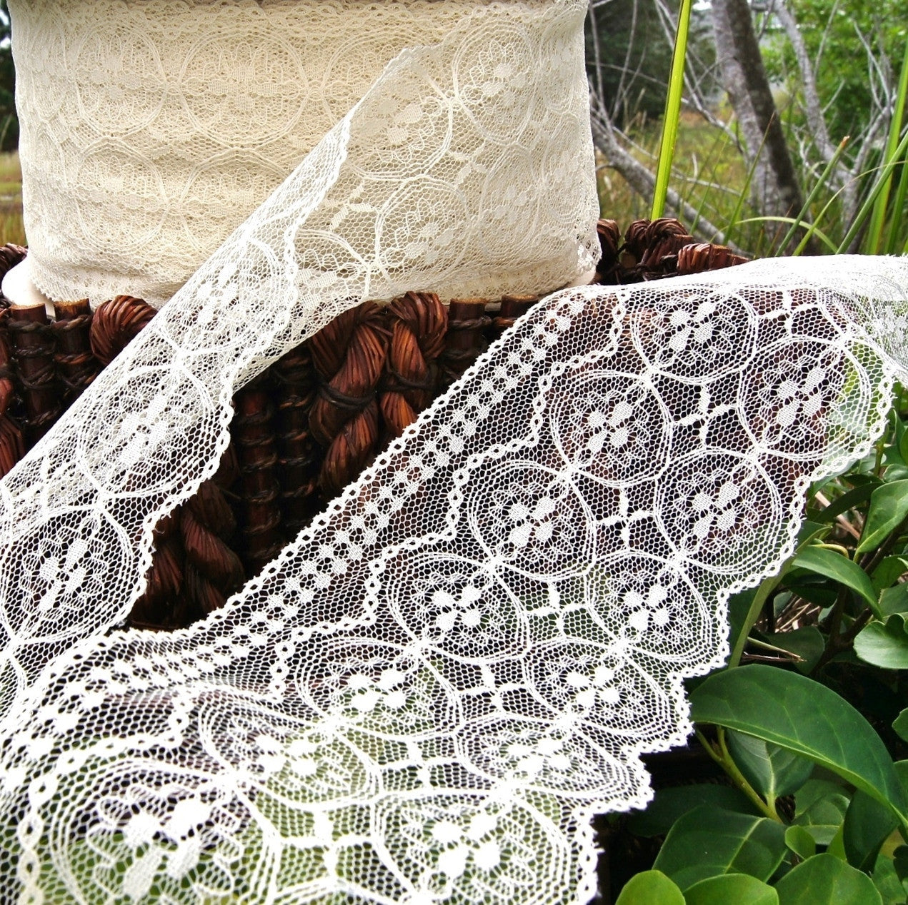 Wide cream lace sale