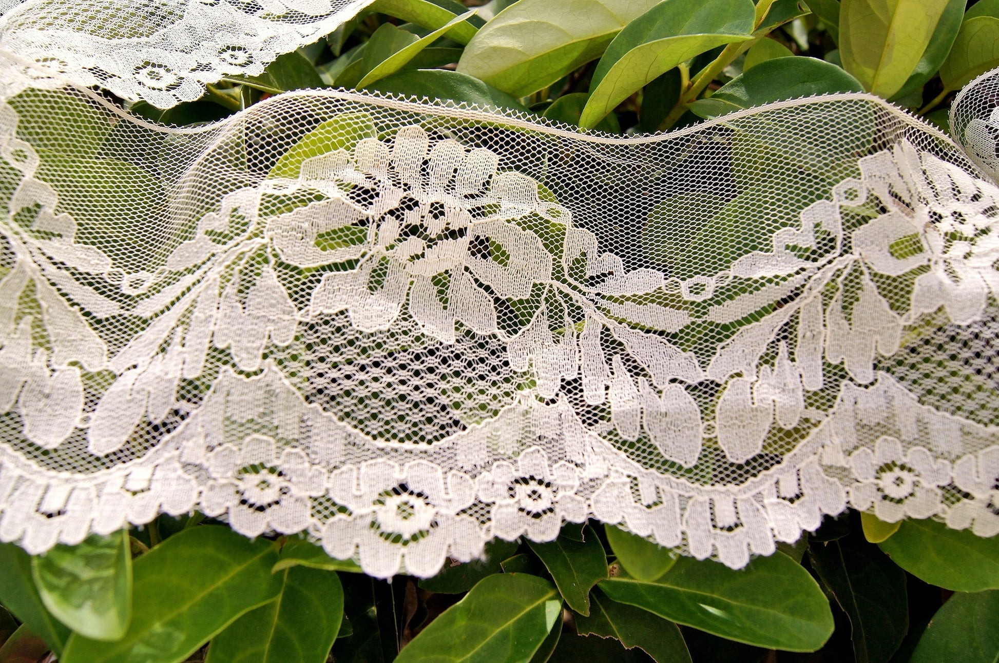 Lacy Mesh Cream Scalloped Floral Lace 4½" wide