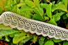 Chain-like Light Beige Scalloped Lace