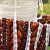 Ivory Scalloped Lace Edging Trim