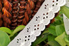 Eyelet Scalloped Lace Trim