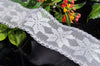 Iridescent Wire Edged Lace