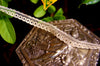 Narrow Lace Trim