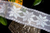 White Iridescent Wire Edged Lace