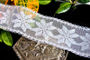 White Iridescent Wired Edge Lace