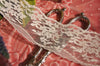 Floral Embroidery Lace Trim