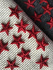 Vintage Embroidered Red Star Decorative Patch #5016